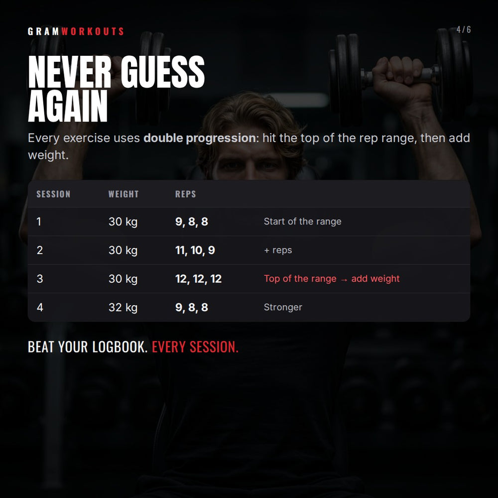 Ultimate Workout Program